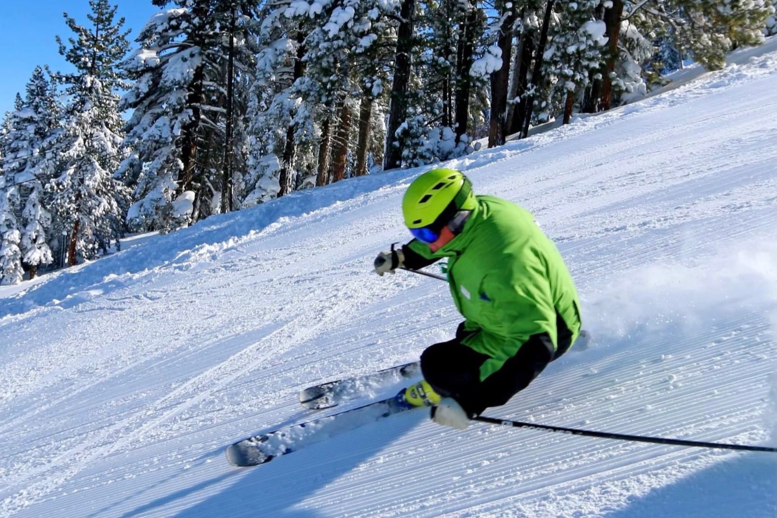 A skier in a green jacket carving hard on freshly groomed snow below snow-covered pines